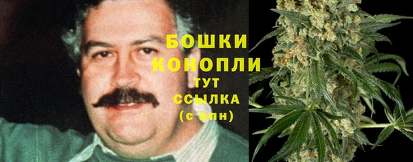 прущий лед Новозыбков