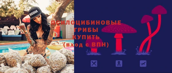 трава Новокубанск